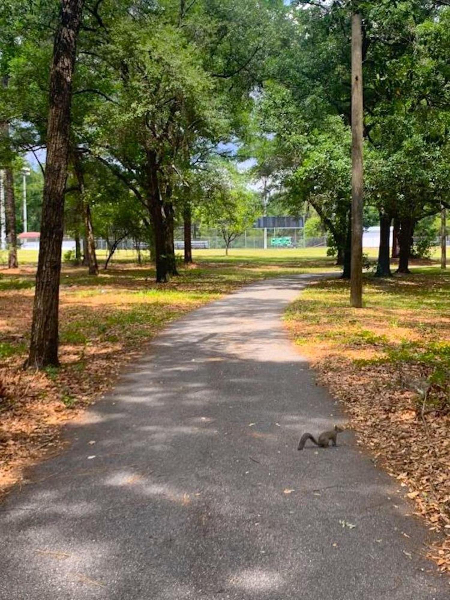 Private Home In Ocala With Fenced Yard, Piano, Central Location, Pets Welcome ภายนอก รูปภาพ